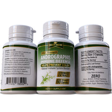 Load image into Gallery viewer, Andrographis Indian Echinacea Immune Support Treat Flu Cold Influenza Capsules