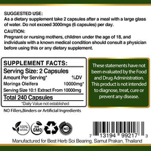 Load image into Gallery viewer, 240 x Capsules Moringa Oleifera Extract Natural Multi-Vitamin  Boosts Immune System