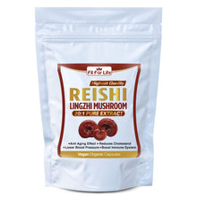 Load image into Gallery viewer, 240 x Reishi Mushroom (Lingzhi, Ganoderma) Immune Support 20:1 Extract Capsules