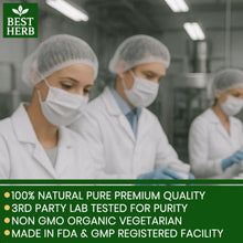 Load image into Gallery viewer, 240 x Capsules Moringa Oleifera Extract Natural Multi-Vitamin  Boosts Immune System