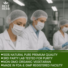 Load image into Gallery viewer, 240 x Bitter Melon Overall Heart Health Regulates Blood Sugar &amp; Glucose Levels Helps Cholesterol Pills Capsules