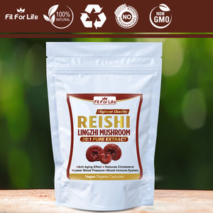 240 x Reishi Mushroom (Lingzhi, Ganoderma) Immune Support 20:1 Extract Capsules