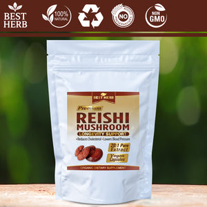 240 x Reishi Mushroom (Lingzhi, Ganoderma) Longevity Support 20:1 Extract Capsules