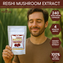 Load image into Gallery viewer, 240 x Reishi Mushroom (Lingzhi, Ganoderma) Immune Support 20:1 Extract Capsules