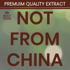 240 x Reishi Mushroom (Lingzhi, Ganoderma) Longevity Support 20:1 Extract Capsules