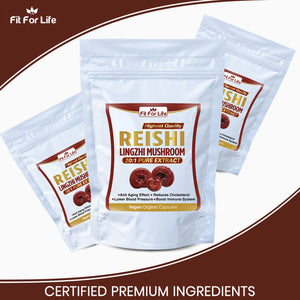 240 x Reishi Mushroom (Lingzhi, Ganoderma) Immune Support 20:1 Extract Capsules