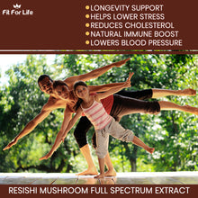 Load image into Gallery viewer, 240 x Reishi Mushroom (Lingzhi, Ganoderma) Immune Support 20:1 Extract Capsules