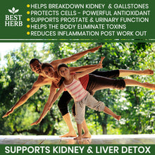 Load image into Gallery viewer, 240 x Chanca Piedra Kidney Stone Gallstone Breaker Herbal Remedy Capsules