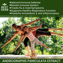 Load image into Gallery viewer, 240 x Pills Andrographis Extract Indian Echinacea Immune Support Treat Flu Cold Influenza Capsules