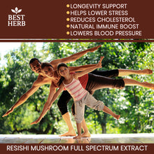 Load image into Gallery viewer, 240 x Reishi Mushroom (Lingzhi, Ganoderma) Longevity Support 20:1 Extract Capsules