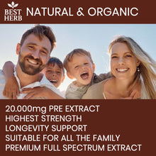Load image into Gallery viewer, 240 x Reishi Mushroom (Lingzhi, Ganoderma) Longevity Support 20:1 Extract Capsules