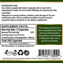 Load image into Gallery viewer, 240 x Pills Andrographis Extract Indian Echinacea Immune Support Treat Flu Cold Influenza Capsules
