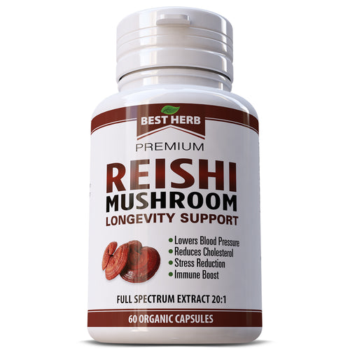 Reishi Mushroom (Lingzhi, Ganoderma) Longevity Support 20:1 Strongest Extract Capsules