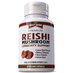 Reishi Mushroom (Lingzhi, Ganoderma) Longevity Support 20:1 Strongest Extract Capsules