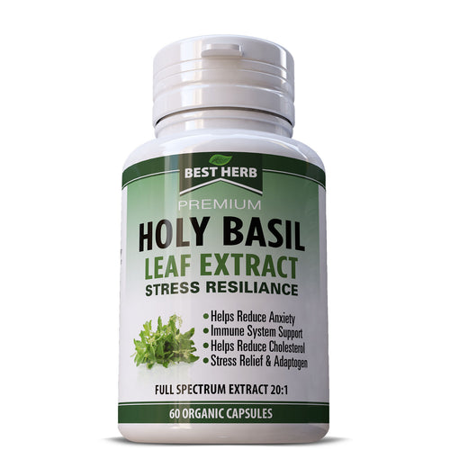 Holy Basil BEST HERB Capsules for Stress Relief, Energy Boost, and Immune Support