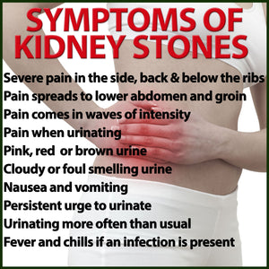 Chanca Piedra Kidney Stone Gallstone Breaker Herbal Remedy Capsules