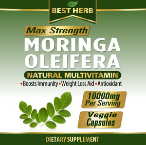 240 x Capsules Moringa Oleifera Extract Natural Multi-Vitamin  Boosts Immune System